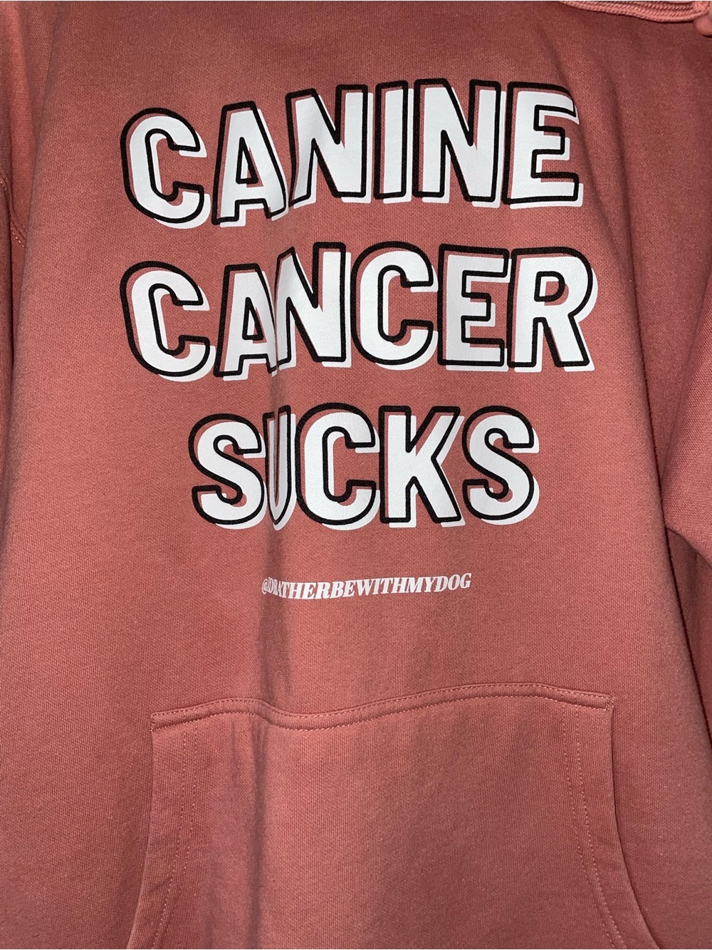 Dusty Rose 'Canine Cancer Sucks' Graphic Crewneck